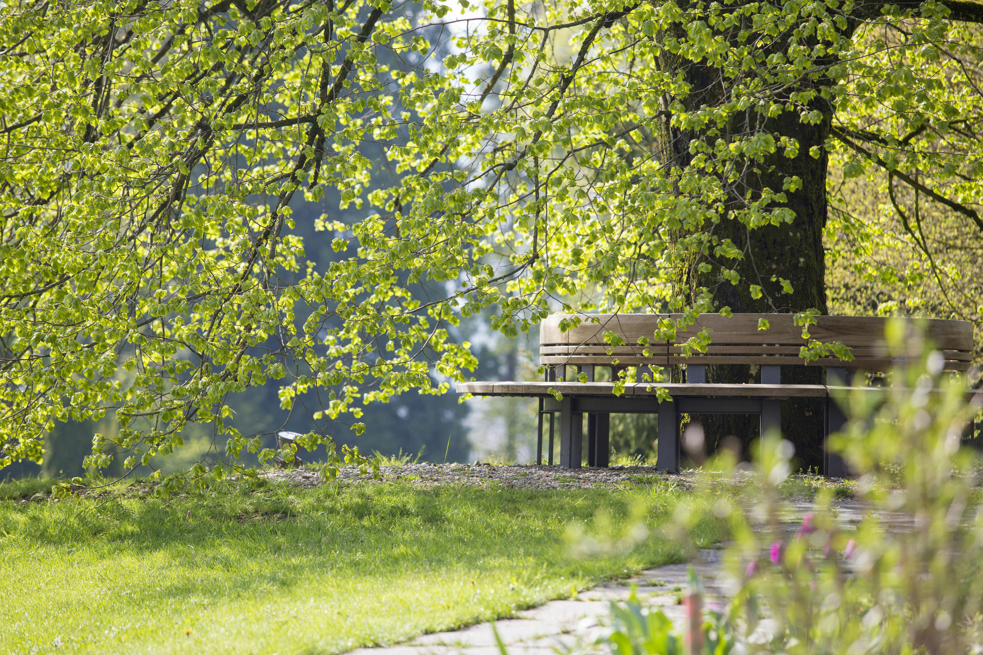 Oberwaid - Hotel. Hotel St. Gallen